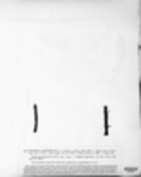 Sporomega degenerans image